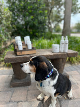 Load image into Gallery viewer, TKC Evil Eye Beaded Dog Collar