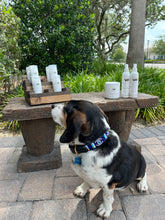 Load image into Gallery viewer, TKC Evil Eye Beaded Dog Collar