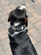 Load image into Gallery viewer, TKC Shades of Grey Beaded Dog Collar