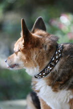 Load image into Gallery viewer, TKC Earth Argyle Beaded Dog Collar