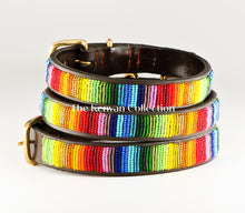 Load image into Gallery viewer, TKC Rainbow Beaded Dog Collar