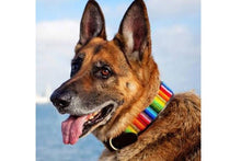 Load image into Gallery viewer, "Rainbow" Beaded Dog Collar