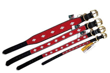 Load image into Gallery viewer, "Unity" Beaded Dog Collar