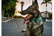 Load image into Gallery viewer, "Lagoon" Beaded Dog Collar