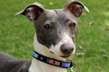 Load image into Gallery viewer, "Malindi" Beaded Dog Collar