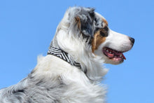 Load image into Gallery viewer, "Zebra" Beaded Dog Collar