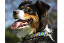 Load image into Gallery viewer, "Meadow" Beaded Dog Collar