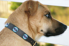 Load image into Gallery viewer, "Blue/Brown Circles" Beaded Dog Collar
