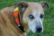 Load image into Gallery viewer, "Hippo Circus" Beaded Dog Collar