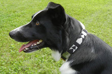 Load image into Gallery viewer, "Ebony & Ivory" Beaded Dog Collar