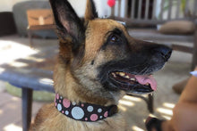 Load image into Gallery viewer, "Dots Pink" Beaded Dog Collar