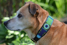 Load image into Gallery viewer, "Peacock" Beaded Dog Collar