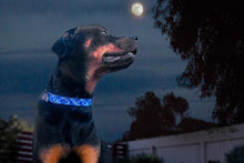 Load image into Gallery viewer, "Moonbeam" Beaded Dog Collar