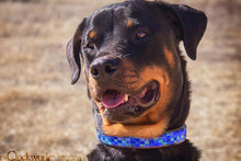 Load image into Gallery viewer, "Moonbeam" Beaded Dog Collar