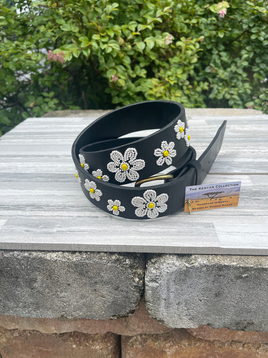 Daisies Beaded Dog Collar