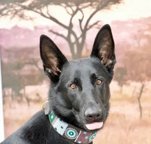 Load image into Gallery viewer, TKC Jacaranda Beaded Dog Collar
