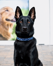 Load image into Gallery viewer, TKC The Wave Beaded Dog Collar