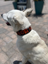 Load image into Gallery viewer, Marula Beaded Dog Collar