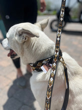 Load image into Gallery viewer, Earth Argyle Beaded Dog Lead
