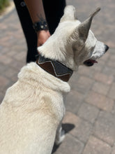 Load image into Gallery viewer, Nairobi Beaded Dog Collar