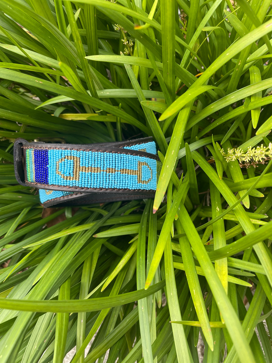 TKC Peacock Bits Belt - Wide Width Silver Buckle