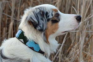"Jacaranda" Beaded Dog Collar
