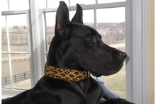 Load image into Gallery viewer, &quot;Leopard&quot; Beaded Dog Collar