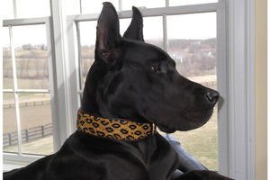 "Leopard" Beaded Dog Collar