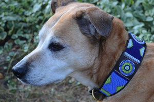 "Passion Flower" Beaded Dog Collar