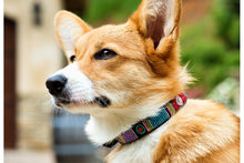 Load image into Gallery viewer, &quot;Bijou&quot; Beaded Dog Collar